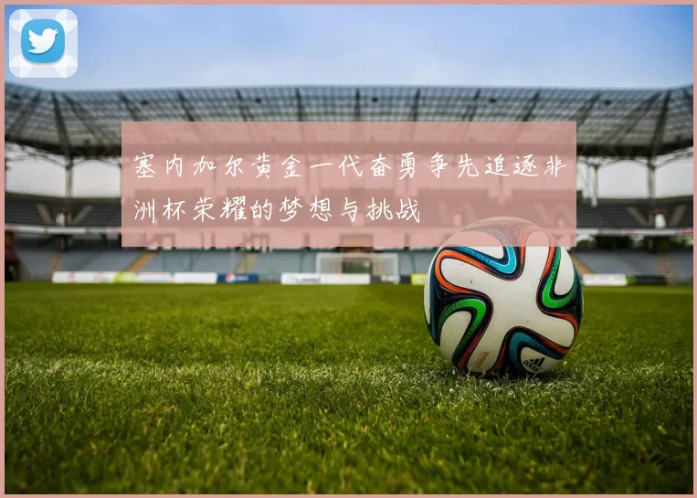 塞内加尔黄金一代奋勇争先追逐非洲杯荣耀的梦想与挑战