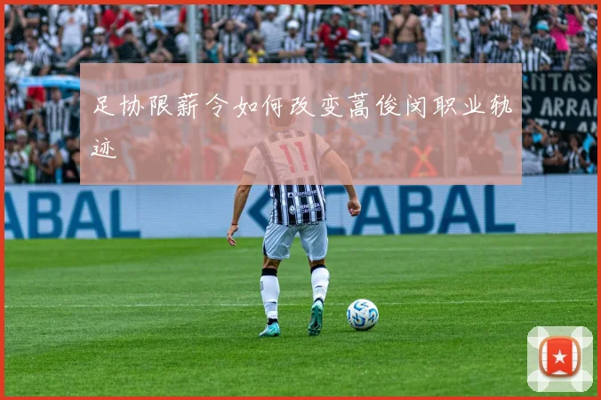 足协限薪令如何改变蒿俊闵职业轨迹