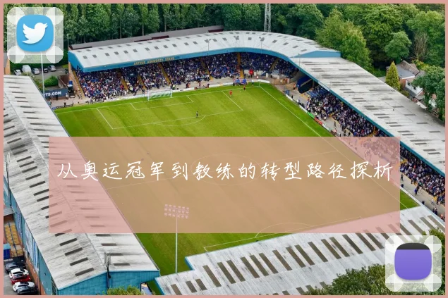 从奥运冠军到教练的转型路径探析