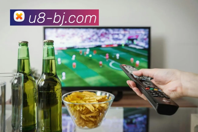 多媒体互动体验